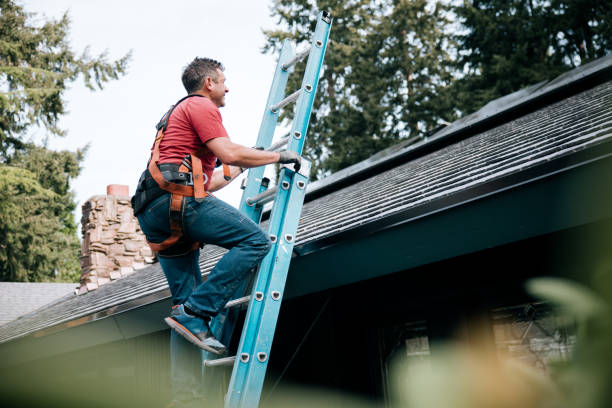 Best Steel Roofing  in Cambridge, MN