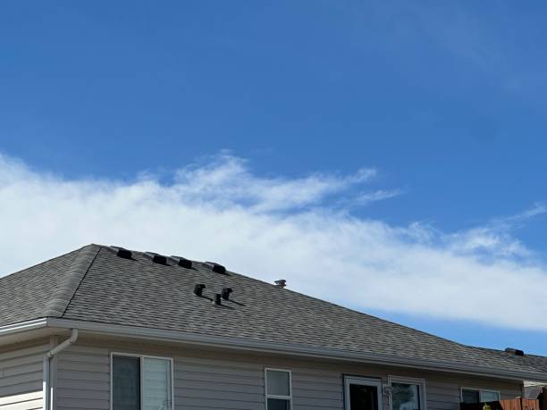 Best Roof Maintenance and Cleaning  in Cambridge, MN